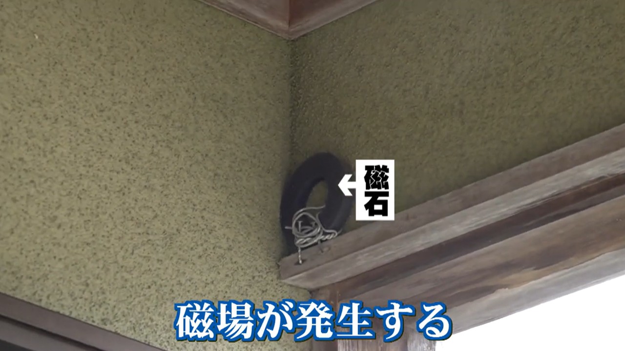 玄関の磁石で渡り鳥をガードする工夫